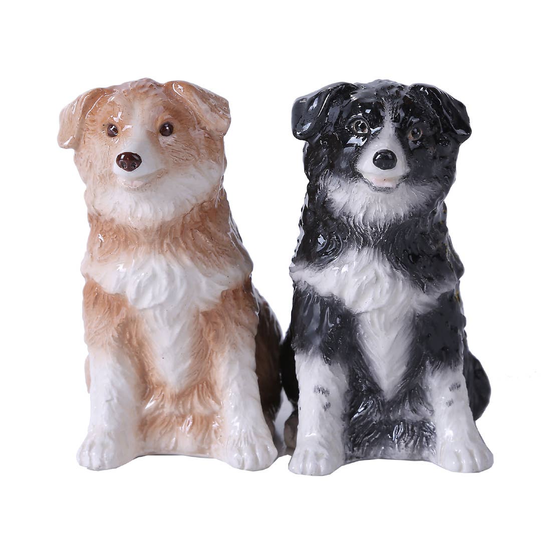 Juego de salero y pimentero de cerámica con diseño de Border Collies