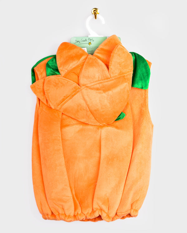 Déguisement citrouille Halloween 2-4 ans (taille 98-104 cm)