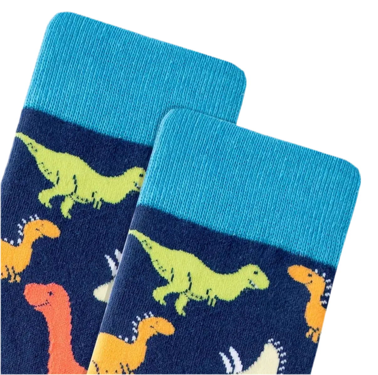 Dinosaur Socks