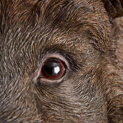 Applique murale Sanglier Willy, résine polyuréthane marron