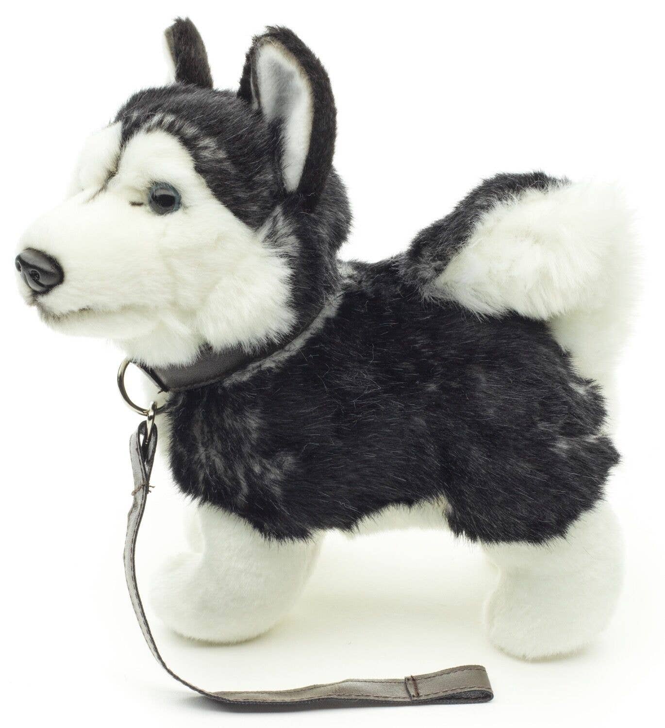 Peluche Chiot husky, debout avec laisse