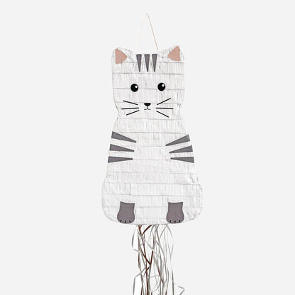 Piñata a forma di gatto