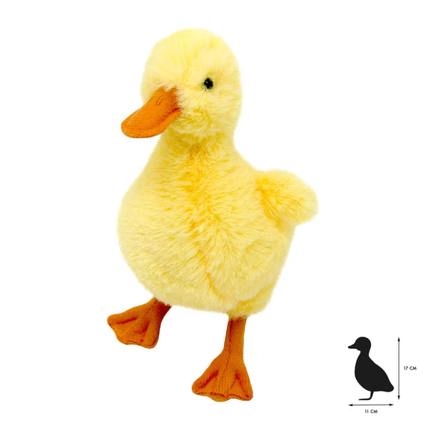 Anatra di peluche