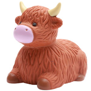 Vache des Highlands de Bain
