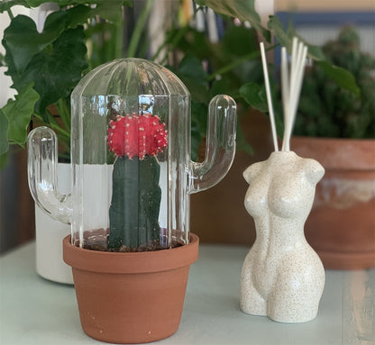 Difusor de fragancia Afrodita