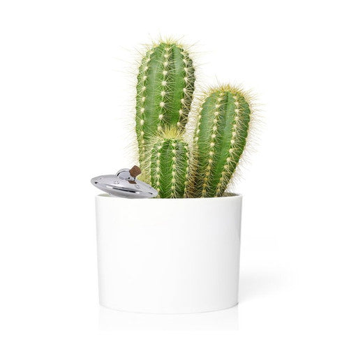 Arroseur Autonome OVNI Bitten – Objet déco original