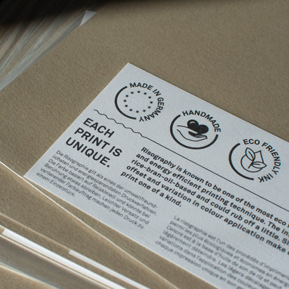 Flamenco rosa Lámina artística