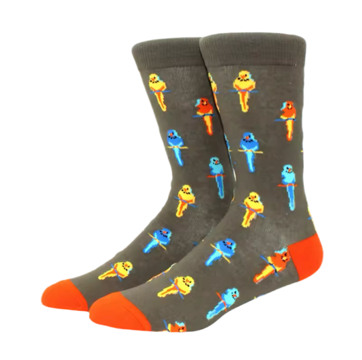 chaussettes perroquets exotiques mrcol