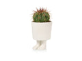 Pot de Fleur Sandale de Gladiateur – Petit