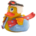 Pato esquiando