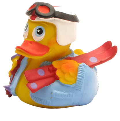Canard Skieur