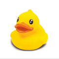 Pato B. pato