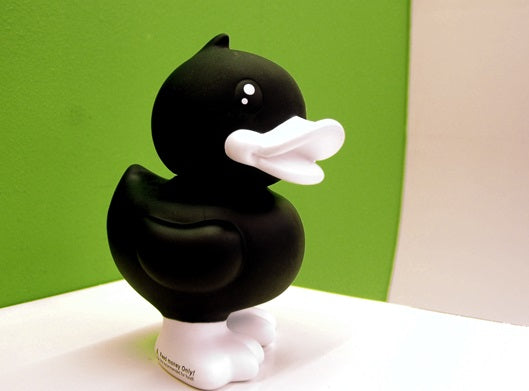Pato negro