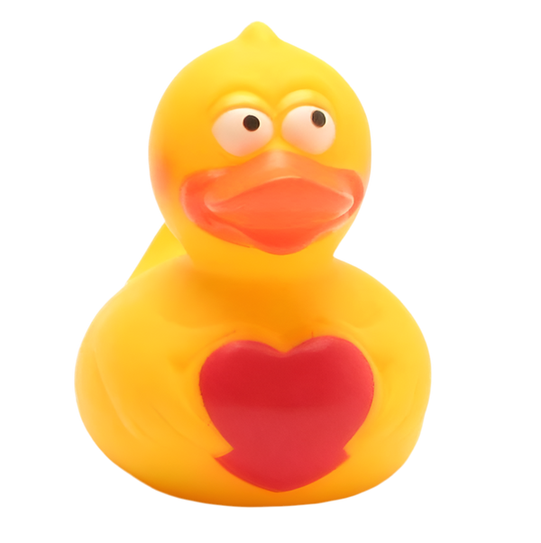 Anatra con un cuore