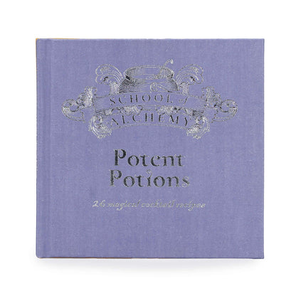 Livre cadeau School of Alchemy Potent Potions Harry Potter