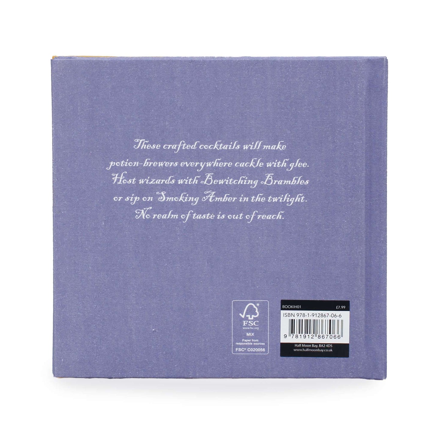 Livre cadeau School of Alchemy Potent Potions Harry Potter