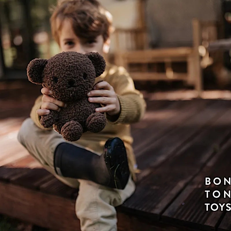 Boris Teddy Bear Plush Toy