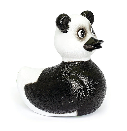 Duck panda