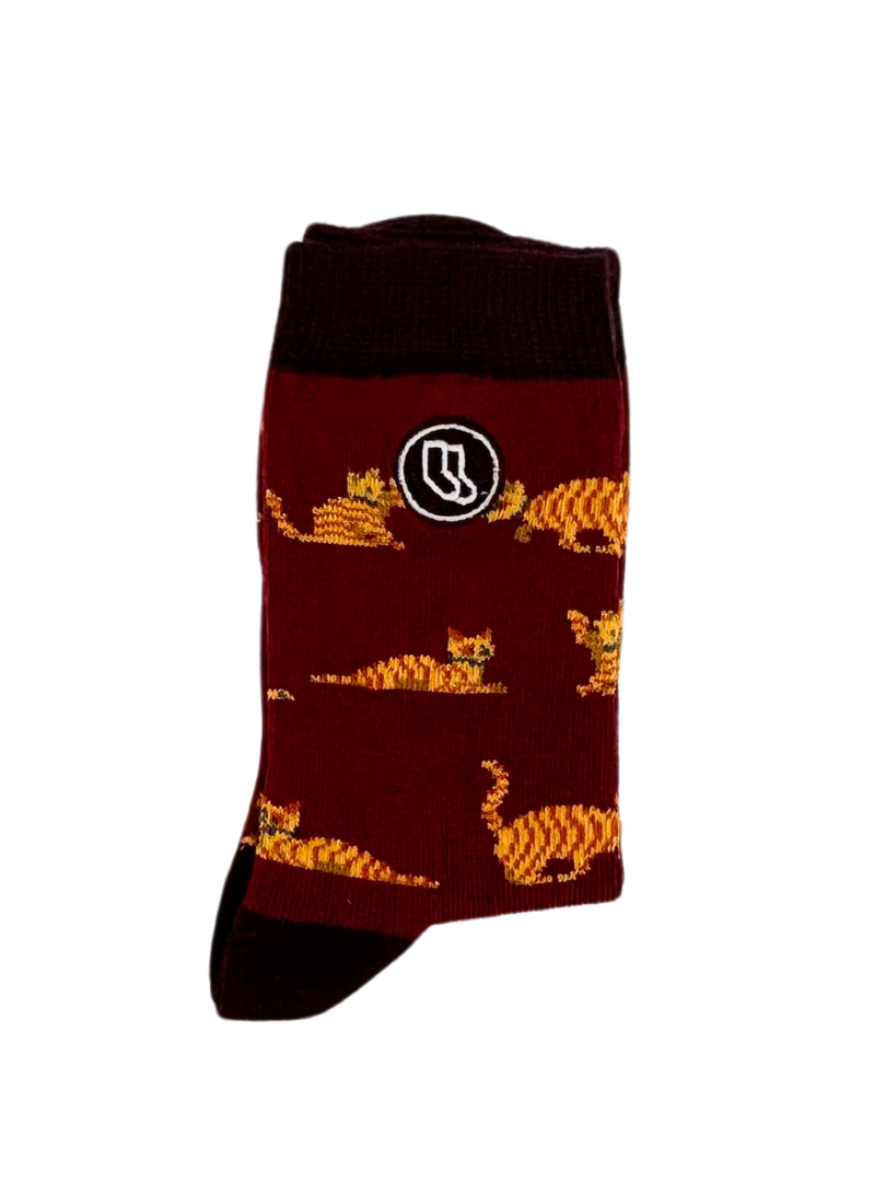 Chaussettes Enfant « Beco – Chat »
