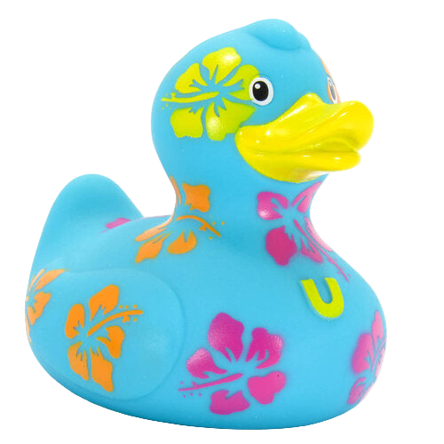 Canard Hawaïen