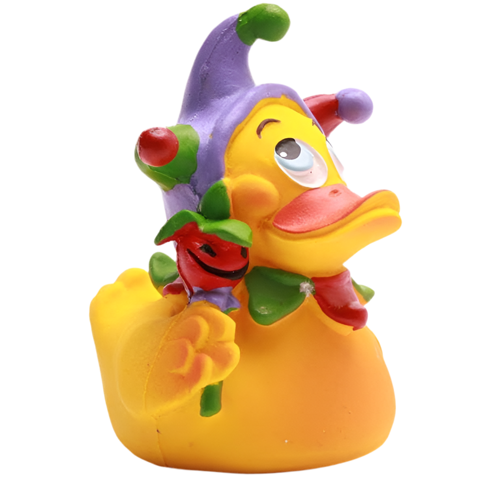 Pato Arlequim