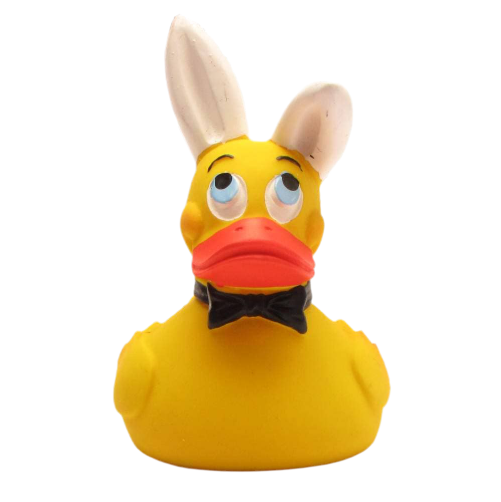 Canard Bunny