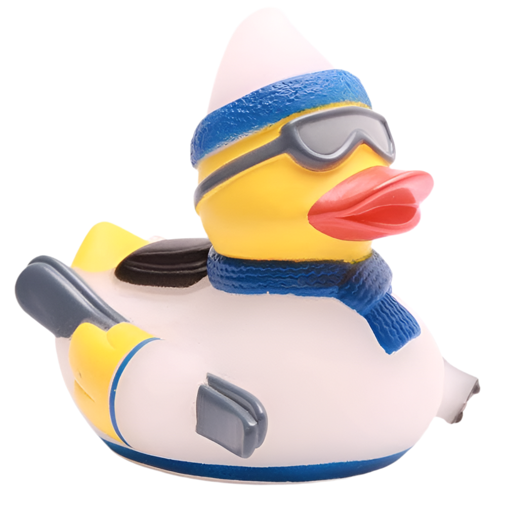 Blue Skiing Duck