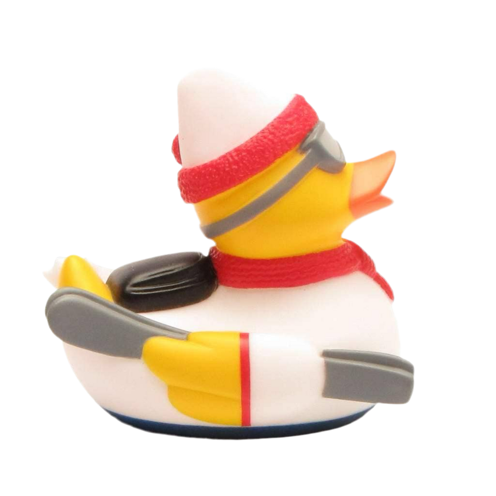 Pato esquiador