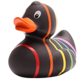 Klassieke zwarte regenboogeend