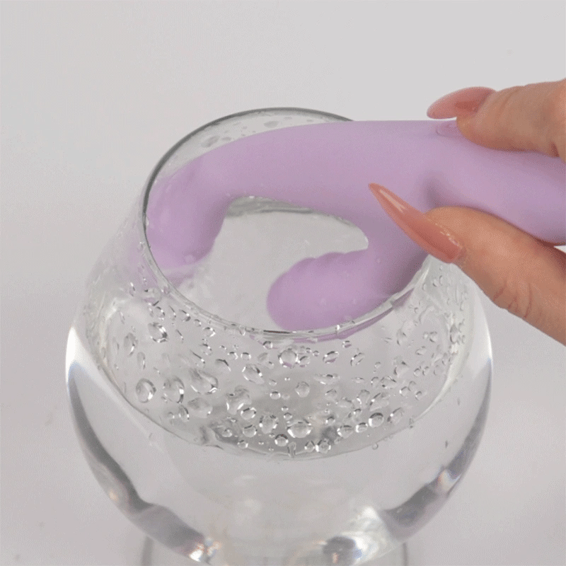 CICI+ 2