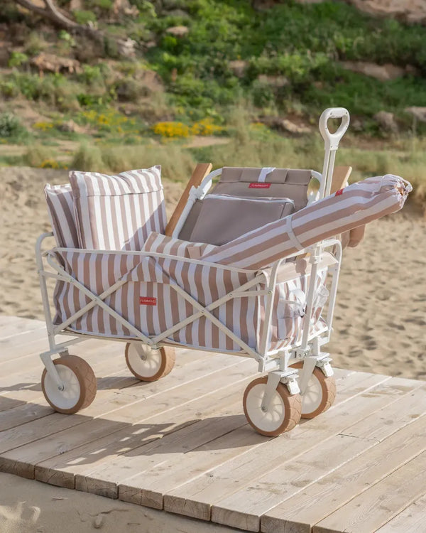 Carro plegable de playa – THEO