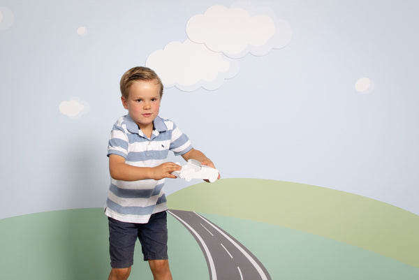 Carro pequeño