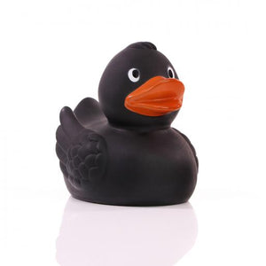 Zwarte Eend