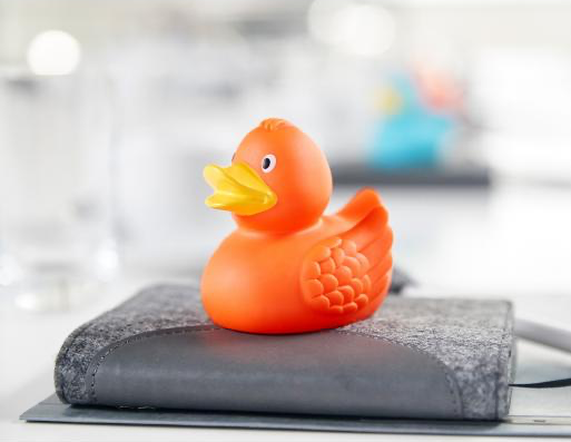 Duck orange