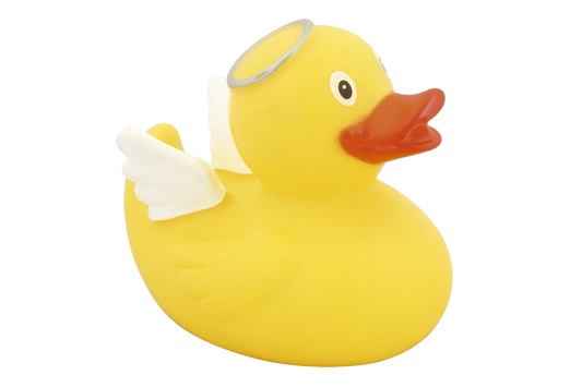 Anjo do pato