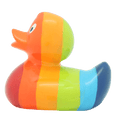 Regenboog Eend