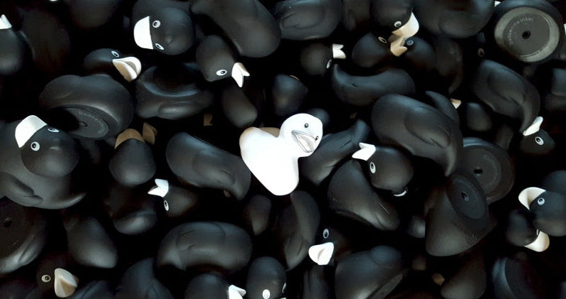 Ente Original Blanc