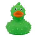 Papera Cactus