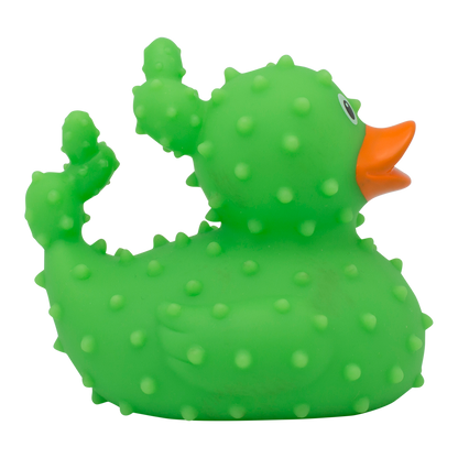 Duck cactus