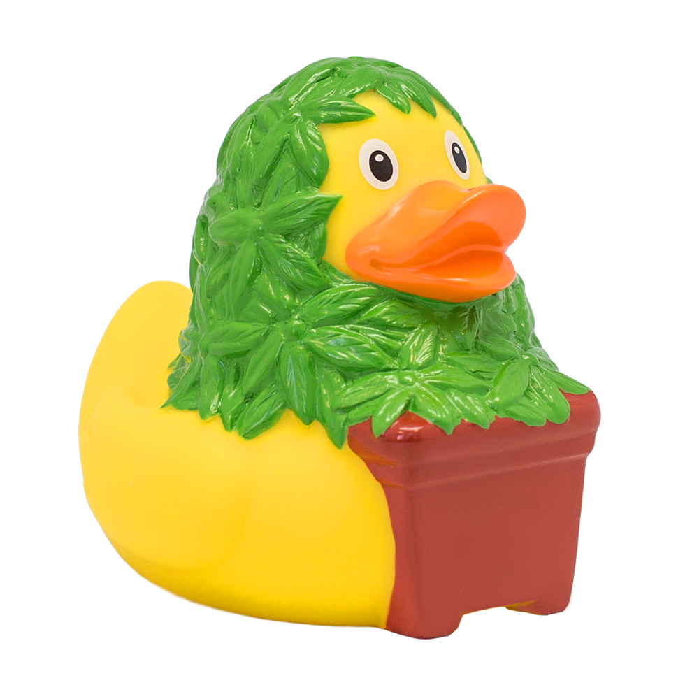 Ente Cannabis