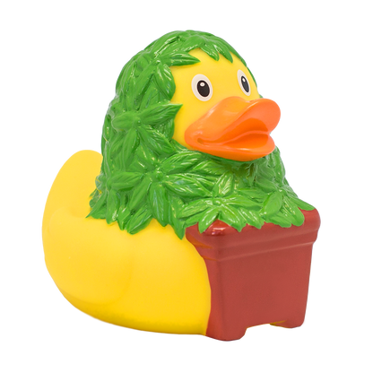 Canard Cannabis