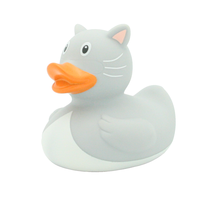 Chat duck