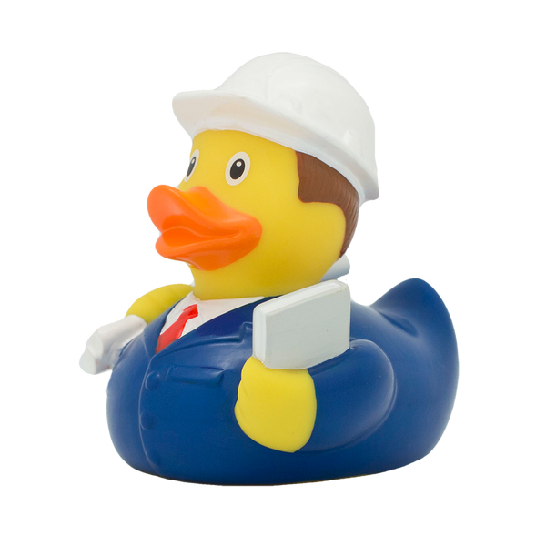 Canard Ingénieur