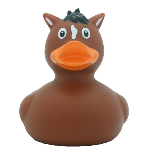 Canard Cheval