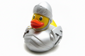 Canard Chevalier