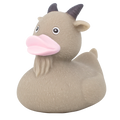 Eend Geit