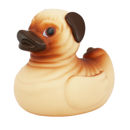 Cachorro de pato