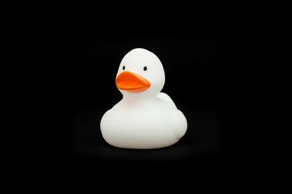 Pato blanco clásico