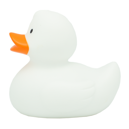 Classic white duck