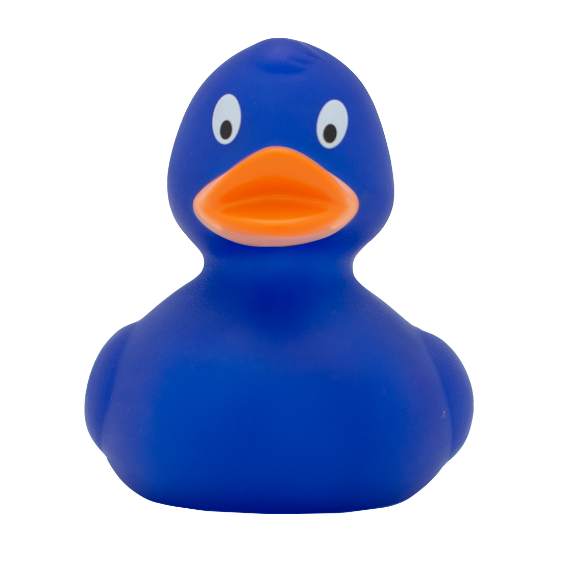 Classic blue duck